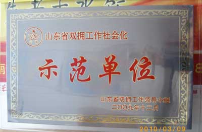 热烈祝贺公司荣获“山东省双拥工作社会化示范单位”